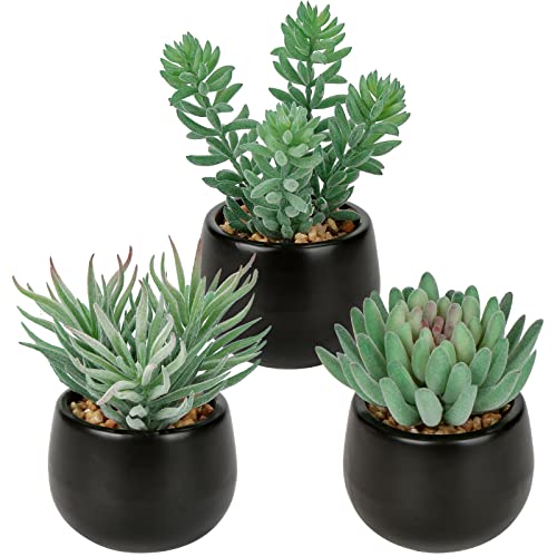 Briful 3PCS Artificial Succulents Fake Plants Mini Succulents Potted in Black Ceramic Pots Artificial Plastic Plants for Home Office Desk Farmhouse Bathroom Décor - color: Type #3