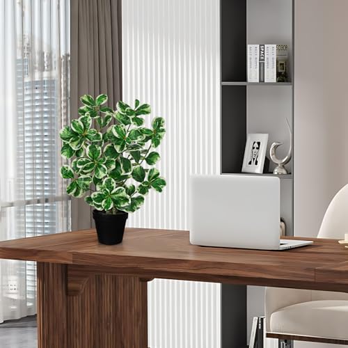 20" Artificial Rubber Tree Plant in Black Pot, Faux Ficus Tree Plant Potted with Cream White Edge Leaves, Fake Greenery Plant for Home Office Tropical Decor - size: 20" & Large