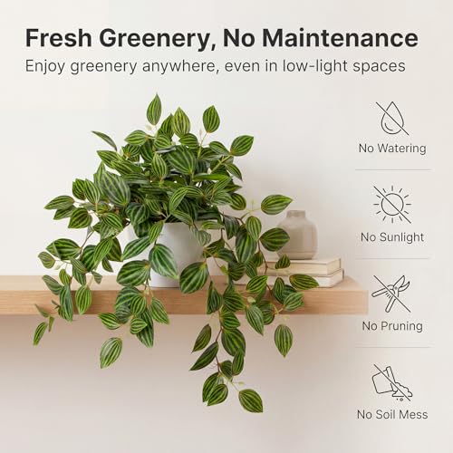 Briful Artificial Potted Plant Indoor, 17.7" Faux Watermelon Peperomia Trailing Plant in White Plastic Pot Realistic Fake Cascading Greenery for Shelf Bathroom Office Desk Tabletop Home Decor - color: Watermelon Green