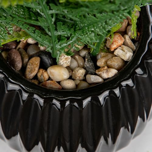 DILATATA Faux Plant Indoor in Ceramic Pot 11" Artificial Potted Fern Fake House Plants for Desk Office Bathroom Garden Decoration - Black