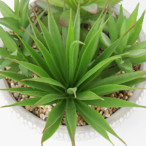 Briful Small Fake Plants Assorted Faux Succulents in Pots Realistic Succulents Plants Artificial with Cement Pots for Home Table Office Desk Bathroom Shelf Living Room Decor - color: Succulent #01