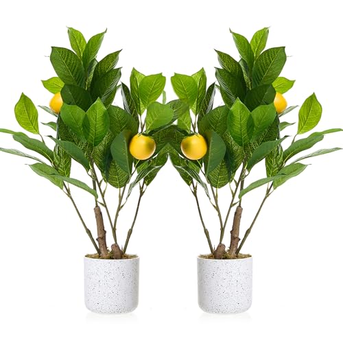 2Pcs 19.7" Artificial Lemon Trees with White Pot, Faux Small Citrus Fake Plants with Vivid Leaves and Realistic Lemons for Indoor Home Office Shelf Decor, Home Accent Gift - size: 4 x 4 x 15.8 inches