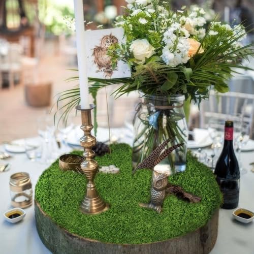 Fake Green Moss Roll Table Runner Faux Moss Adhesive Fairy Garden Grass 12" x 71" Artificial Moss for Indoor Plants Wall Crafts DIY Table Centerpieces Fairy Woodland Floral Wedding 30x180cm - size: 11.81 inches x 70.87 inches x 1.57 inches