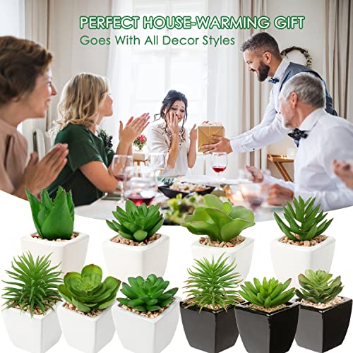 Hollyone Small Succulents Artificial 3 Pcs Faux Succulents in Pots Fake Succulent Plants with Black Ceramic Pots for Modern Home Office Desk Bathroom Shelf Living Room Decor - color: 3pack - Black Ceramic