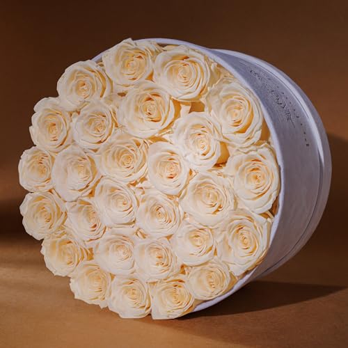 Prifroti 27 Flowers in a Luxury Suede Box, Birthday Gifts for Women, Preserved Flowers, Mothers Day Roses Gift for Mom, Champagne - color: Champagne, size: 27 Roses