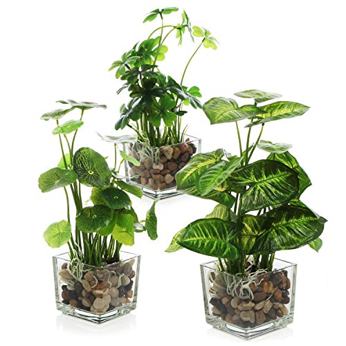 MyGift Set of 3 Fake Plants, Small Artificial Potted Plants Indoor in Clear Glass Pot, 9.5 Inch Faux Plant for Home Decor - color: Clear (Earth Tone Pebbles)