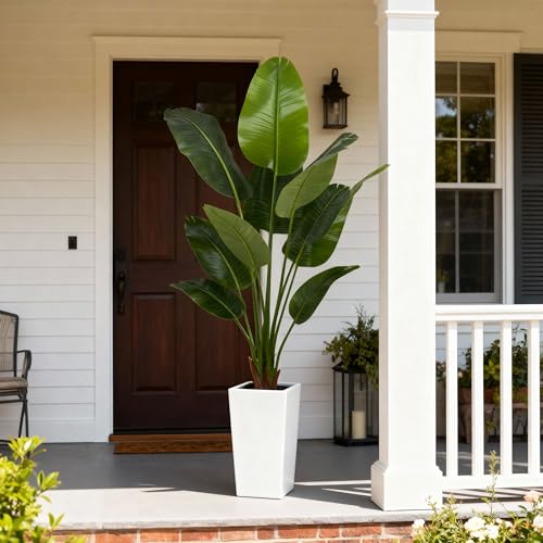 Aveyas 6ft Artificial Bird of Paradise Tree for Home Decor, 6 Feet Faux Floor Plant Fake Silk Banana Leaf Tropical Trees with Pot for Indoor Outdoor House Living Room (6 ft Tall Including Raised Pot) - color: Bird of Paradise Tree (6ft)