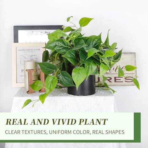 JPSOR Artificial Indoor Plants for Home Decor, 12 inches Pothos in Black Ceramic Pot with Iron Wire, 1 Count - color: B-black Ceramic Pot