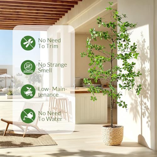 Erimda Faux Black Olive Tree 6ft, Faux Plants Indoor Large Tall Tree Artificial Shady Lady Tree with Natural Wood Trunk & Realistic Leaves, Fake Olive Plant for Home Office Indoor Decor - color: Green, size: 6ft