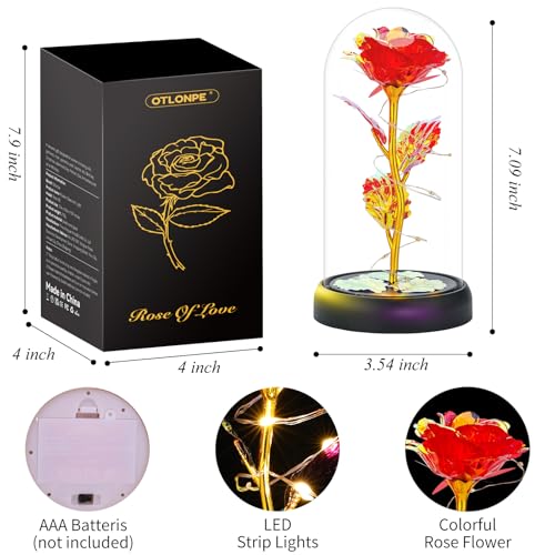 Otlonpe Mothers Day Flowers Gifts for Mom from Daughter Son, Preserved Forever Glass Light Up Rose Gifts for Grandma Wife Women Girlfriend Sister, Teacher Appreciation Graduation Gift for Her (Red) - color: Red