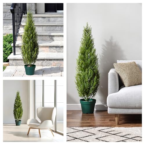 National Tree Company 36 Inch Artificial Arborvitae Topiary Tree, Realistic Fake Tree Potted Plant, Dark Green Round Growers Pot - size: 3ft