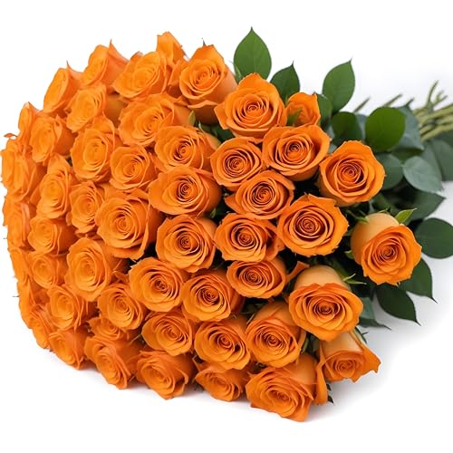 50 Orange Roses | Bulk Roses by Arabella Bouquets | Real Fresh Flowers for Delivery, Gift for Birthday Women, Congratulations, Anniversary, Thank You, Mother's Day - color: Orange, size: 50 Stems