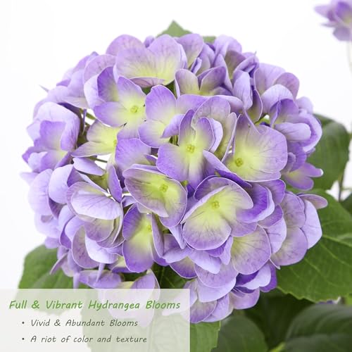 Nafresh 2FT Real Touch Faux Hydrangea Tree Outdoor, 2 Pack Purple Hydrangea Tree Artificial with Vibrant Blooms, Faux Hydrangea Potted Plant for Indoor Outdoor Home Front Porch Pation Decor - color: Purple, size: 2ft