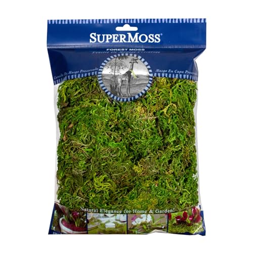 SuperMoss Forest Moss Preserved Lasting Decorative Long Fibers for Potted Plants and Crafts, Fresh Green - color: Fresh Green, size: 120 cu in