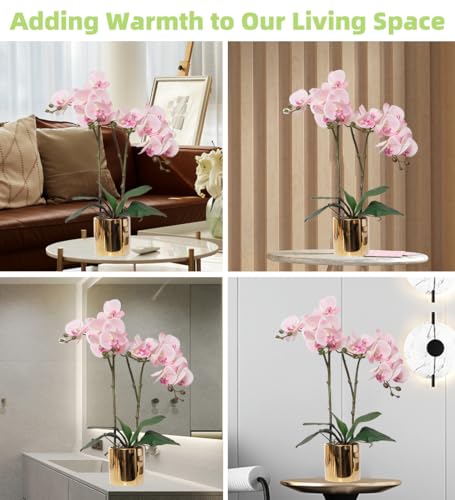 CXGS Artificial Orchid Flower Plant Real Touch Faux Orchids in Ceramic Vase Pink 19.7'' Fake Phalaenopsis Flower Arrangement Centerpiece Home Indoor Decor - color: Pink- Golden