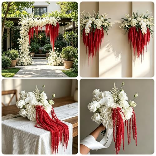5Pcs Dried Amaranthus Hanging Flowers, 53" Neon Green Preserved Natural Wisteria for Wedding Arch, Table Centerpiece, Wall Hanging Lover Tears, Floral Arrangement (Deep Red) - color: Deep Red