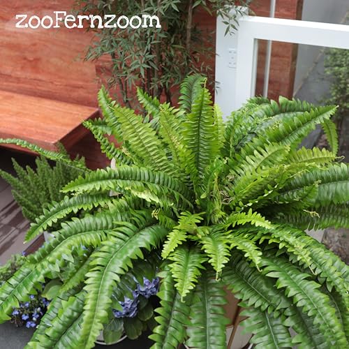 Fake Ferns Artificial Plants Large, 68" Artificial Ferns for Outdoors Large, UV Resistant Faux Fern with Long Leaves Suitable for Planters Hanging Porch Home Indoors Garden Patio Office Greenery Decor - color: Light Green, size: 68inch