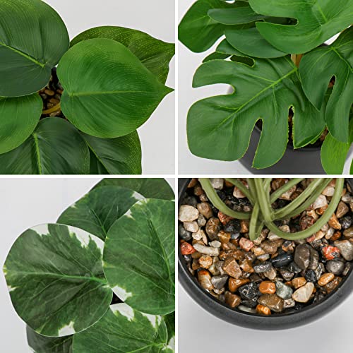 Briful 3PCS Fake Plants Potted Artificial Plants Mini Faux Plants in Black Ceramic Pots Greenery Décor for Home Office Table Room Farmhouse Indoor Decoration - color: Type#2