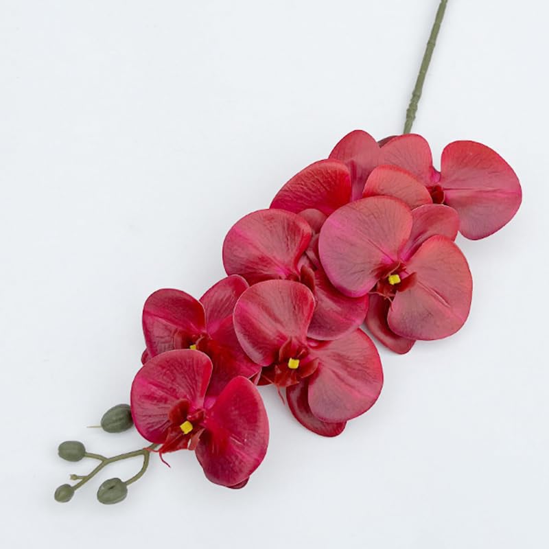 Artificial Phalaenopsis 5 Pcs Artificial Flowers Artificial Orchid Flowers Stem Fake Plants for Décor (Red) - color: Red