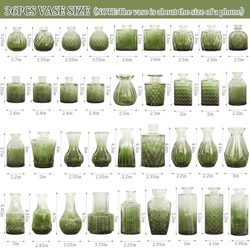 36Pcs Bud Vases Set Small Vintage Glass Bottles Bud Vases in Bulk Multiple Shape Cute Glass Vases for Rustic Wedding Centerpieces Table Decorations and Home Decor(Green) - color: Green