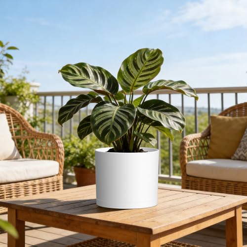 Plant Pots, 10/9/8 Inch 3 Pack Cylindrical Flower Pots with Drainage Holes and Saucers, Plastic Planters for Outdoor Indoor Plants,White - color: White