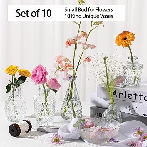 Vintage Small Vases for Flowers Set of 10, Mini Bud Vases for Flowers,Clear Small Vases in Bulk for Centerpieces Decorations,Wedding Party Home Coffee Table Flower Decor (Clear) - color: Clear