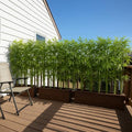 6ft (20 Pack) Fake Bamboo, Outdoor Artificial Bamboo Plants, Designed for Patio and Deck Privacy,Also Can Be Used for Screen Dividers and Backyard Decoration - size: 6ft