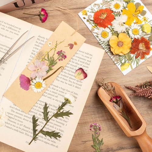 140pcs Dried Pressed Flowers Bulk, Natural Fall Pressed Dried Flowers with Tweezer for DIY Crafts Resin Mold Candles Cake Bridal Scrapbooking Supplies - size: Elegant