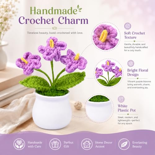 Crochet Flower Bouquet,Forget Me Not Flowers Pot Crocheted Flowers for Women Mom Wife, Perfect for Home Decorations Office Desk