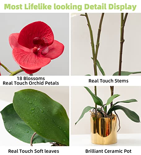 CXGS Artificial Orchid Flower Plant Real Touch Faux Orchids in Ceramic Vase Red 19.7'' Fake Phalaenopsis Flower Arrangement Centerpiece Home Indoor Decor - color: Red- Golden