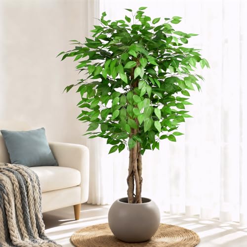 5ft Ficus Artificial Trees with Natural Curved Trunks, 60" Tall Lush Faux Tree for Home Decor Indoor, Green Lifelike Fake Ficus Tree Artificial Plants - size: 5ft