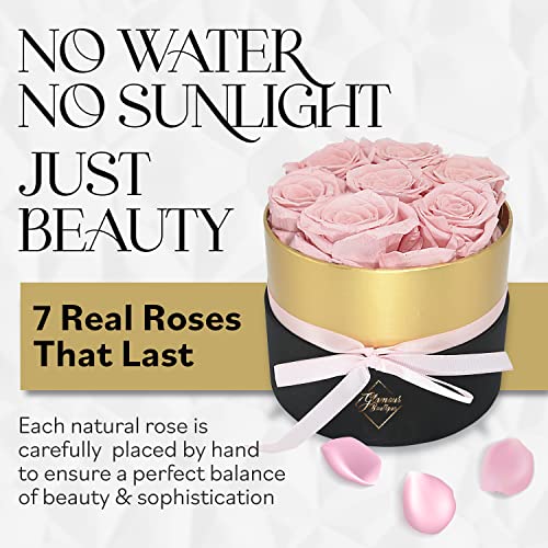 GLAMOUR BOUTIQUE Eternal Preserved Roses in a Box, Flowers Forever, Rose Forever in a Box for Wife or Her, Lasting Real Flower Gift, Elegant Luxury Floral Home Decor, 7 Roses, Pink (Color-Treated) - color: Pink, size: 7 Roses