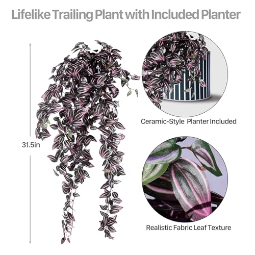 2 Pack Artificial Hanging Tradescantia Plants with Ceramic Pot Large Purple Cascading Faux Greenery Full Trailing Fake Vines Indoor Wall Shelf Decor for Bathroom Patio Outddor Decor (Purple-01) - color: Purple-01