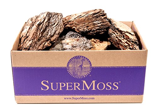 SuperMoss (23255 Decorative Bark – Natural Orchid Bark for Indoor Plants, Terrariums, Fairy Gardens & Reptile Tanks | Home Decor, Potting Soil, & Floral Arrangements, 1,564 cu in, Natural - color: Natural Brown, size: 1,564 cu in