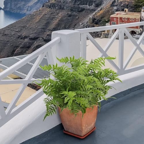GnFlus 19" Artificial Boston Fern Plants Large Fake Greenery Shrubs 2 Pcs UV Resistant Faux Plant Bushes for Home Garden Office Farmhouse Indoor Outdoor Decor, Green - color: Greenery-2