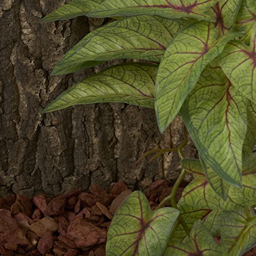Reptile Plants for Terrarium, Amphibian Habitat Decor Artificial Hanging Plants with Suction Cup - Fake Arrowhead Plants Green Syngonium Podophyllum - color: Fake Arrowhead Plants Green