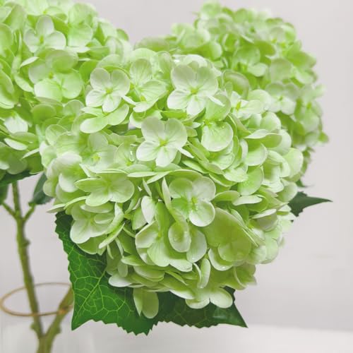 6 Pcs Real Touch Green Hydrangea Artificial Flowers with Stems, Fake Silk Flowers for Outdoors, Artificial Flowers for Home Decor Wedding Bouquets Centerpieces Vase - color: Green, size: 6 Pcs