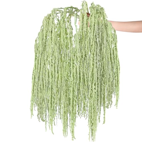 Suncalla 12 Pcs 24 Inch Light Green Dried Amaranthus Hanging Flowers Amaranthus Artificial Flowers for Wedding Arch Bouquet Floral Garland Wall Home Decoration - color: Light Green