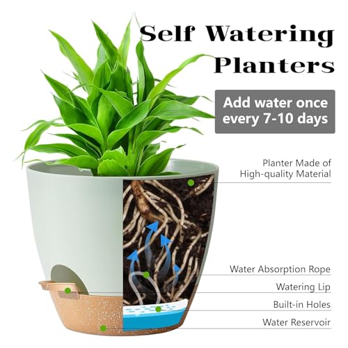Self Watering Plant Pots with Drainage & Saucers, 5-Pack 7/6.5/6/5.5/5 in - Plastic Flower Pots for Indoor Plants, Succulents & Herbs, Planters for Indoor Outdoor & Balcony (Green) - color: Green