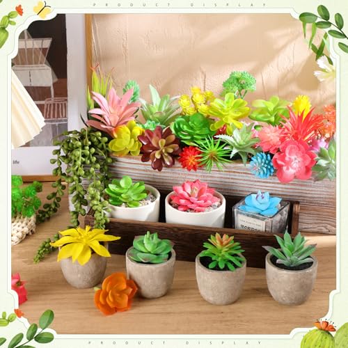 WILLBOND 50 Pcs 50 Pcs Bulk Mini Artificial Succulents Plants Assorted Unpotted Realistic Plants Fake Textured Succulent Picks Realistic Plastic Cactus Stems for Garden Home Decor (Lovely Style) - color: Lovely Style