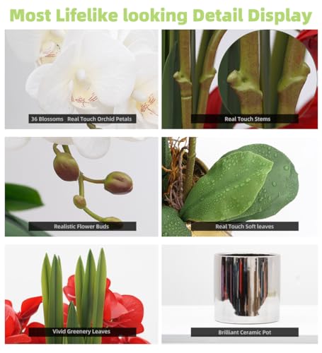 CXGS Artificial Orchid Flower Plants Real Touch Faux Orchids in Ceramic Vase 20.9'' White Phalaenopsis Orchid Fake Flower Arrangement Home Indoor Decor - color: White- Silver (12cm)