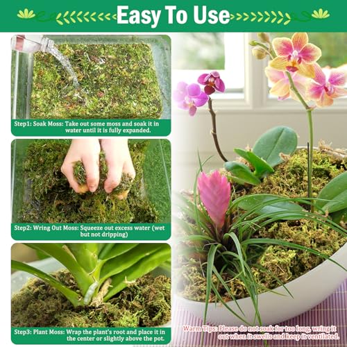 Riare 2.8LBS Premium Sphagnum Moss for Plants- 55QT Natural Dried Plant Moss for Potted Plants, Orchid Moss for Repotting, Soft Green Decorative Moss for Succulents, Reptiles & DIY Crafts - color: 55 QT(Appx.2.8lbs)
