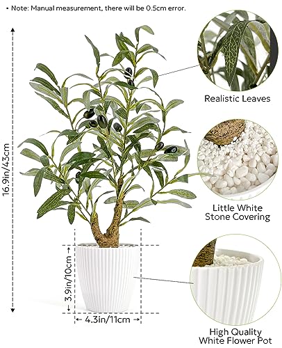 AceList Faux Olive Tree, 16.9 Inches Small Fake Olive Trees with White Pot, Realistic Fake Tree Potted Plant and Lifelike Fruits for Home Room Modern Farmhouse Decor - color: Olive