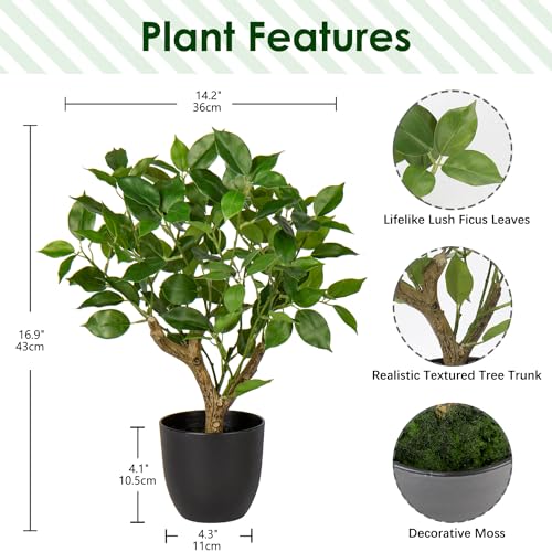 GnFlus Artificial Tree, 17'' Ficus Bonsai, Premium Faux Planted Potted Decor for Home Table Office Desk Bathroom Bedroom Living Room Farmhouse - color: Green