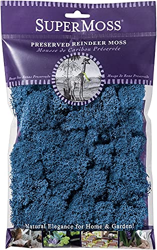 SuperMoss Reindeer Moss Preserved, Long Lasting Decorative Moss for Floral Décor Potted Plants and Indoor Planters, 8 Ounce Royal Blue - color: Royal Blue, size: 200 cubic inch (in3) Bag (Appx. 8oz)