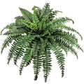 Large Artificial Ferns for Outdoor 49" Fake Boston Fern 49 Fronds Faux Ferns Plant Silk Greenery for Indoors Home Garden Porch Windowsill Decor (1 Stem)