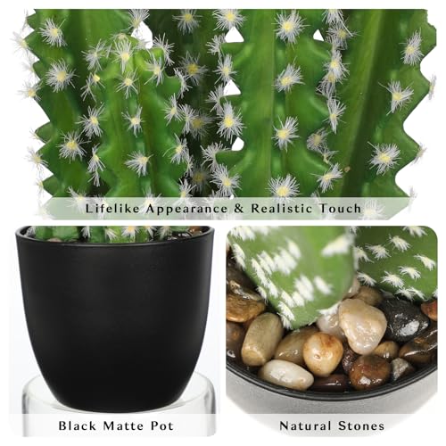 Oairse Artificial Cactus Plants 10.8" Small Faux Cactus Plants Indoor Fake Desert Cacti Succulents Plants Artificial Plant Indoor with Pot Cactus Decorations for Home Decor Office Desk Tabletop Shelf - size: SUP_169