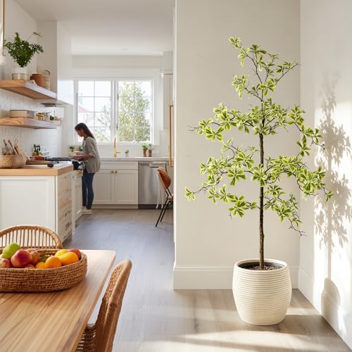 Bailikang 5FT Artificial Black Olive Tree Artificial Olive Plants, Tall Faux Olive Tree Faux Silk Plant Fake Plant Ultra-Realistic Silk Leaves & Natural Trunk Indoor Outdoor Use - color: White Olive Tree, size: 5ft