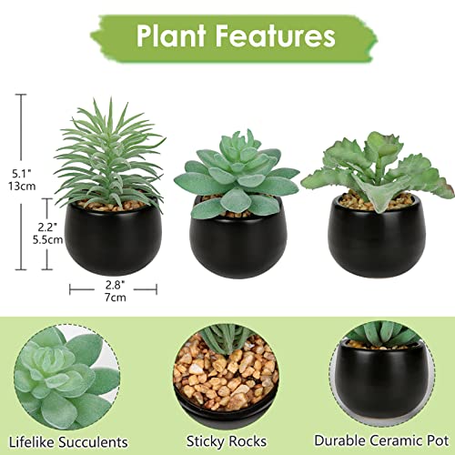 Briful 3PCS Artificial Succulents Fake Plants Mini Succulents Potted in Black Ceramic Pots Artificial Plastic Plants for Home Office Desk Farmhouse Bathroom Décor - color: Type #2