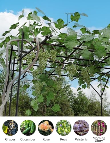 79.53" Metal Garden Arch Trellis, Dome/Flat Top Climbing Plant Support Arbor, Heavy Duty 20mm Steel Grape Trellis for Vine, Flower, Wedding Ceremony & Outdoor Garden Decor
